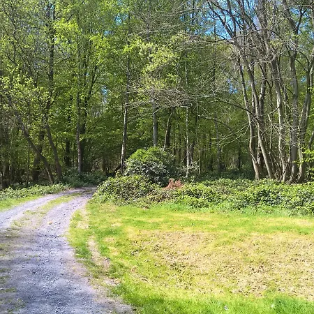 Le Bois Bryas * Revin (Ardennes)